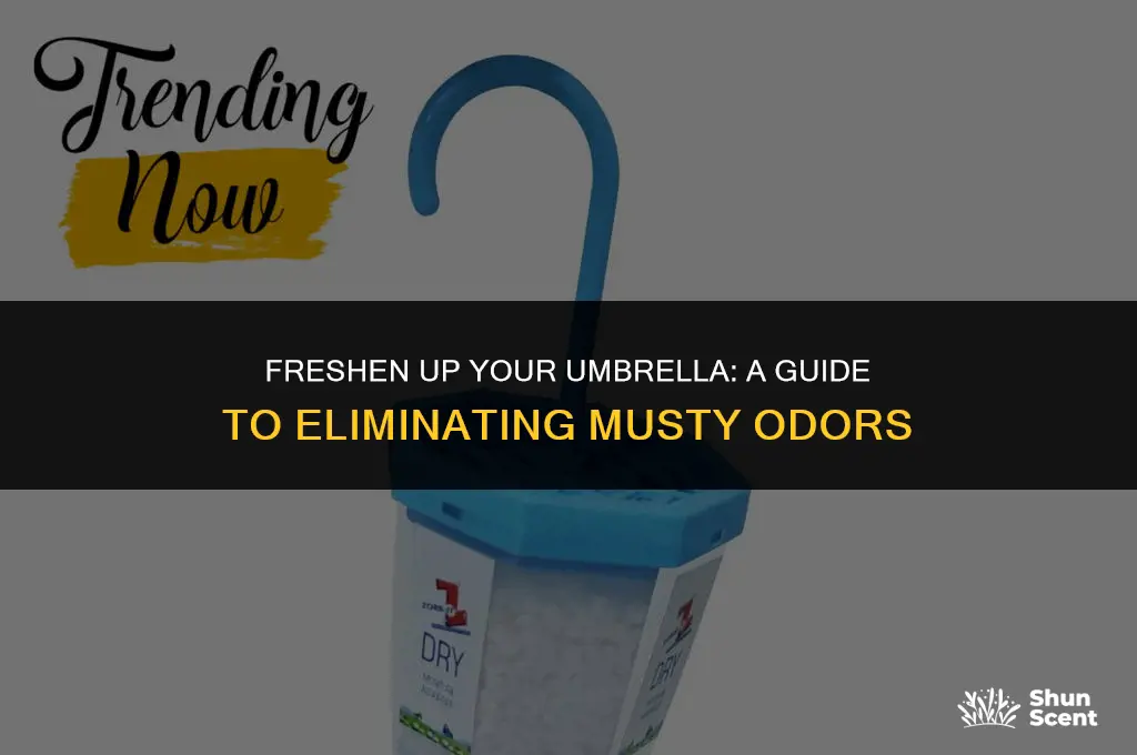how to get rid of musty odor on hand umbrella