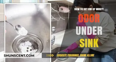 Banish Musty Odors: A Guide to Freshening Your Under-Sink Area