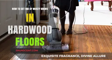 Freshen Your Home: Eliminating Musty Odors from Hardwood Floors