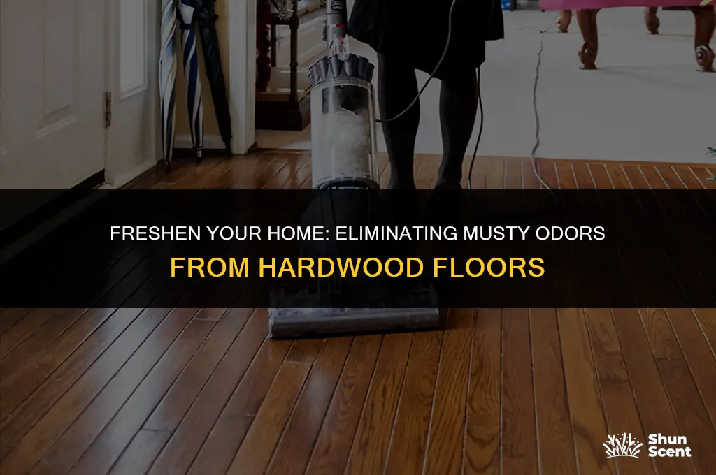 how to get rid of musty odors in hardwood floors