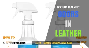 Freshen Up Your Leather: A Guide to Eliminating Musty Odors