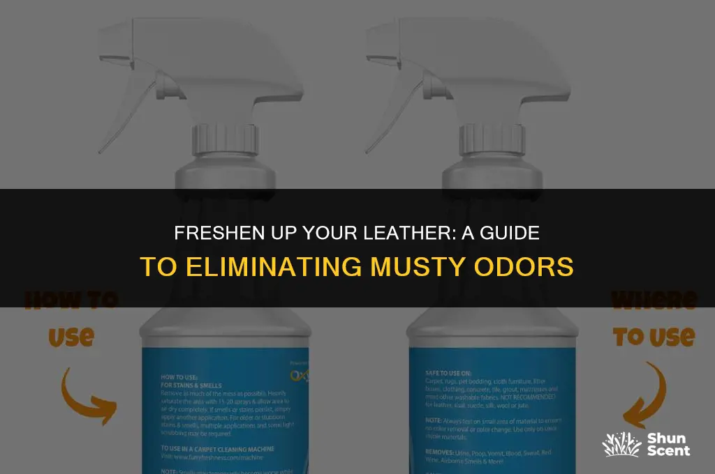 how to get rid of musty odors in leather