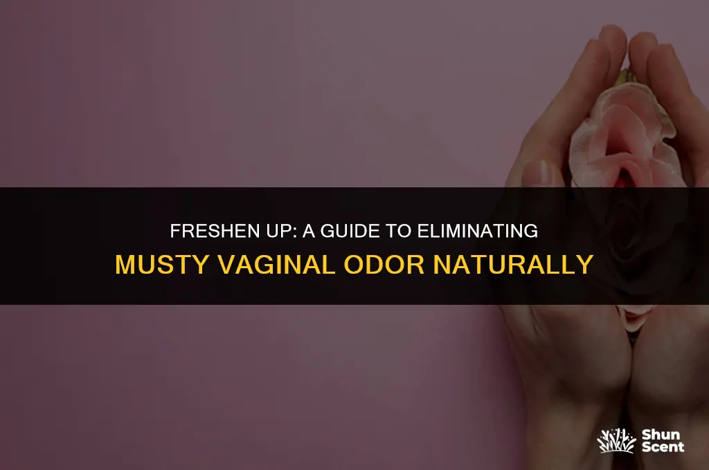 how to get rid of musty vag odor