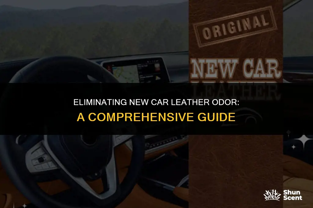 how to get rid of new car leather odor