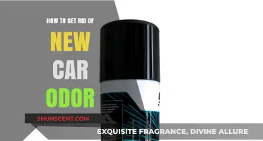 Freshening Up Your Ride: A Guide to Eliminating New Car Odor