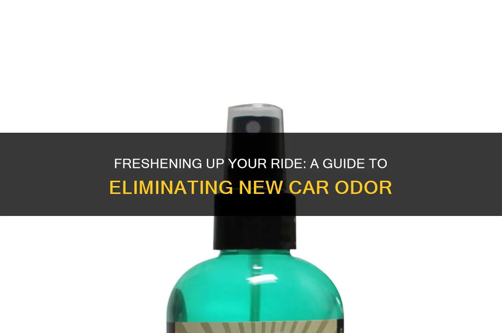 how to get rid of new car odor