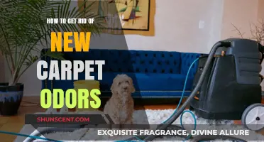 Freshen Up Your Home: A Guide to Eliminating New Carpet Odors
