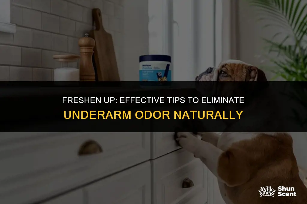 how to get rid of odor armpits
