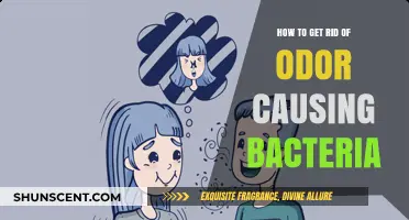 Banish Odor-Causing Bacteria: A Comprehensive Guide to Freshness