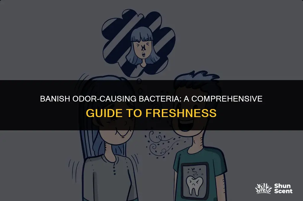how to get rid of odor causing bacteria
