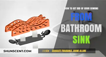 Freshen Up Your Space: Eliminating Bathroom Sink Odors