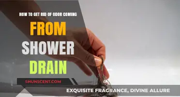 Freshen Up Your Shower: Conquering Drain Odors for Good