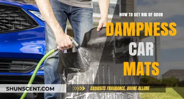 Freshen Up Your Ride: Eliminating Odor and Dampness from Car Mats