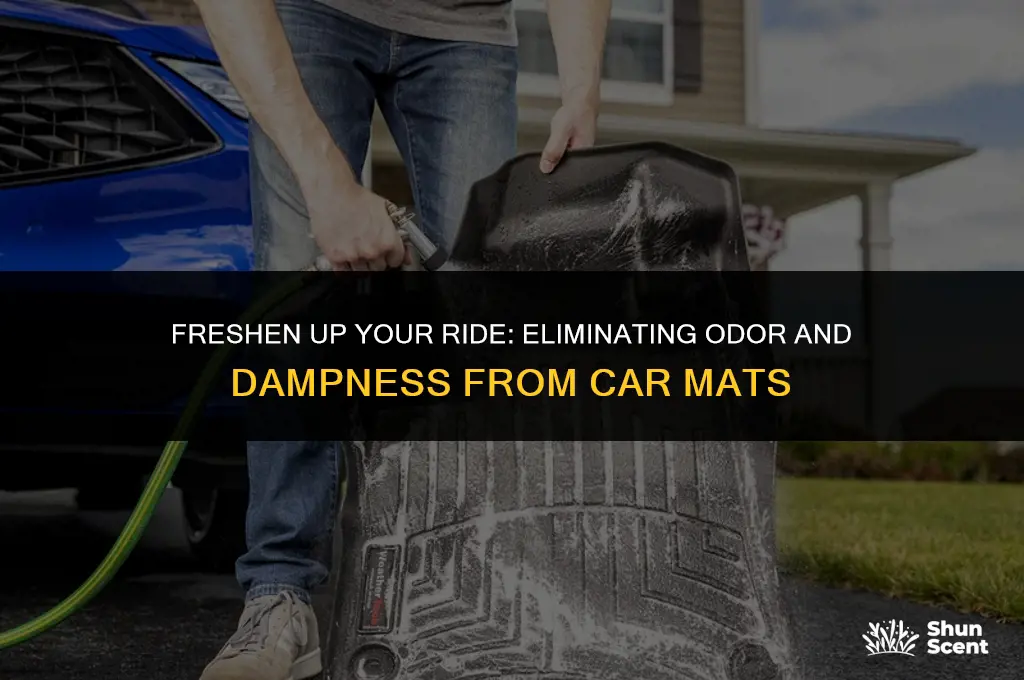 how to get rid of odor dampness car mats
