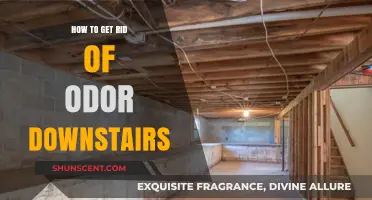 Freshen Up Your Space: Eliminating Odors Downstairs
