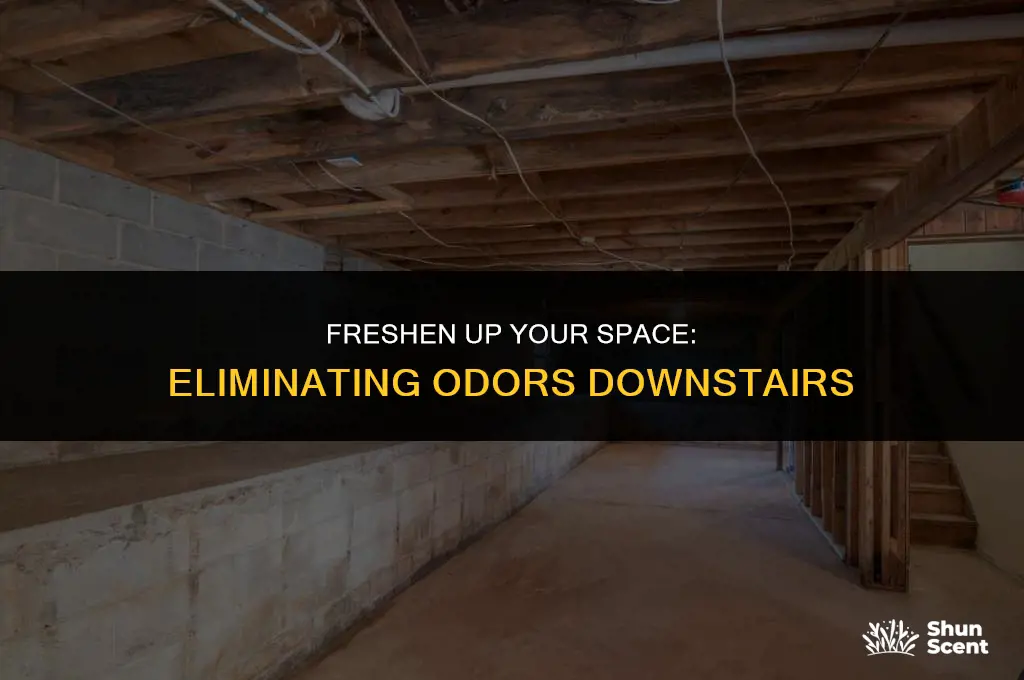 how to get rid of odor downstairs