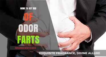 Banish Embarrassing Odors: A Guide to Managing Flatulence