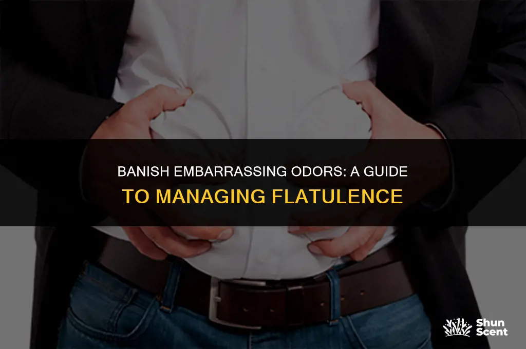 how to get rid of odor farts