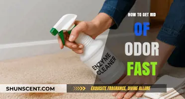 Freshen Up Your Space: Quick Tips to Eliminate Odors