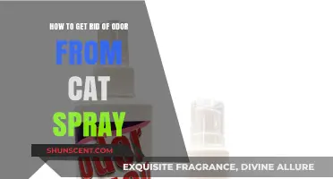 Eliminating Lingering Odors: A Guide to Neutralizing Cat Spray