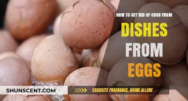 Freshen Up Your Dishes: A Guide to Eliminating Egg Odors