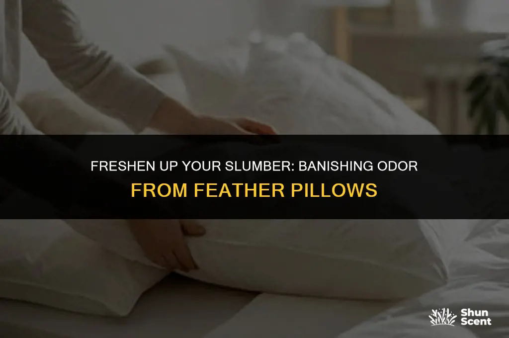 how to get rid of odor from feather pillows