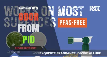Freshen Up Your Space: Effective Tips to Eliminate PID Odors