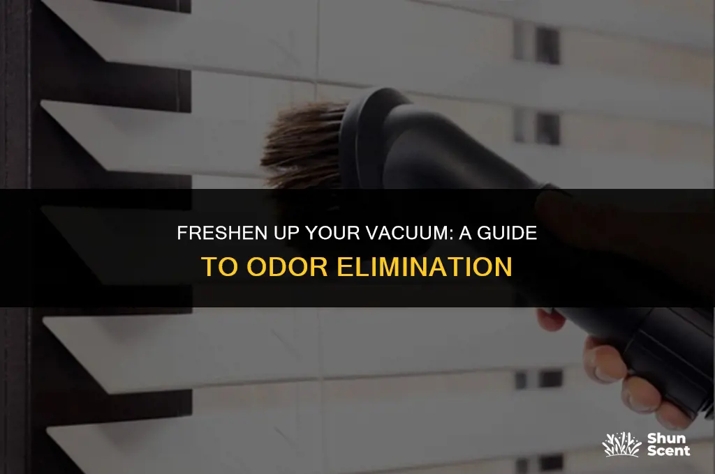 how to get rid of odor from vacuum cleaner
