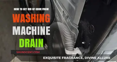 Freshen Up Your Laundry: Eliminating Odors from Washing Machine Drains