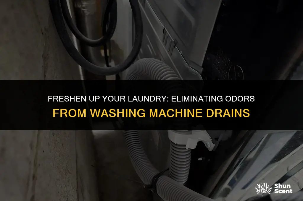 how to get rid of odor from washing machine drain