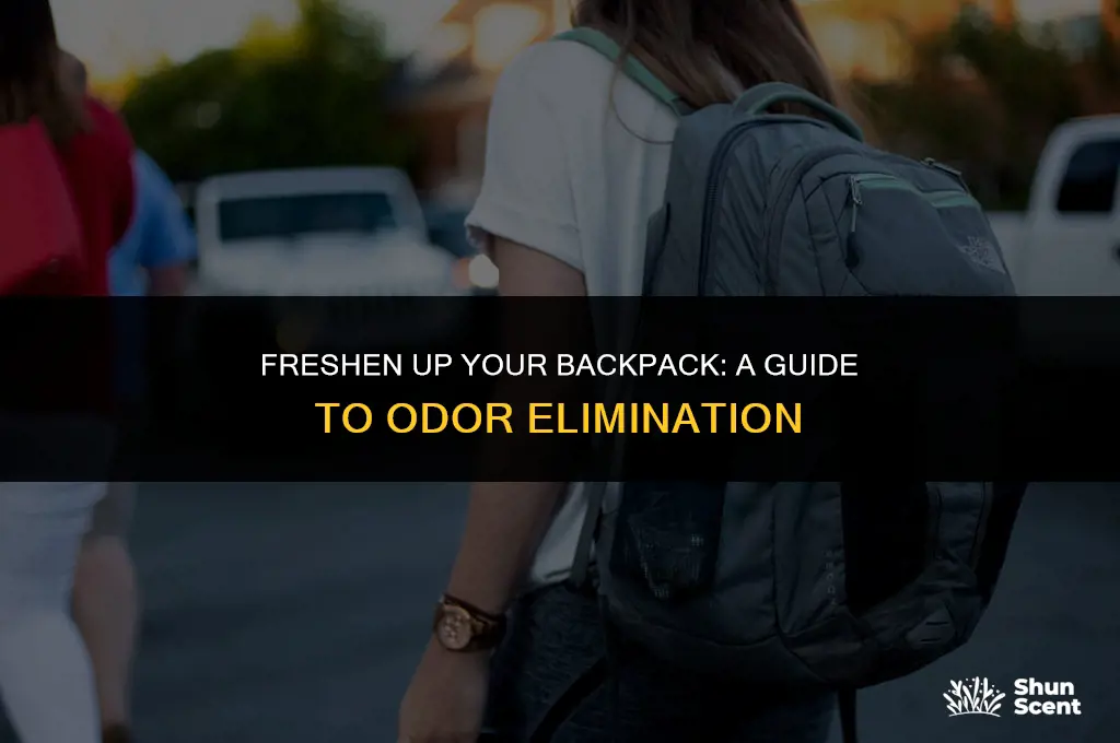 how to get rid of odor in a backpack
