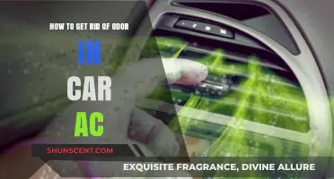 Fresh Air Ahead: Eliminating Unpleasant Odors from Your Car AC