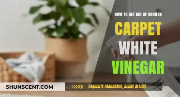 Freshen Your Carpets: A Simple Vinegar Solution for Odor Removal
