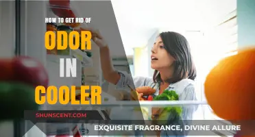 Freshen Up Your Cooler: A Guide to Eliminating Unpleasant Odors