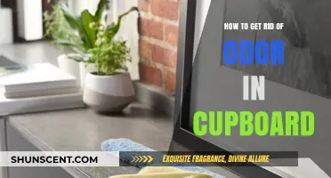 Freshen Up Your Cupboards: A Guide to Odor Elimination