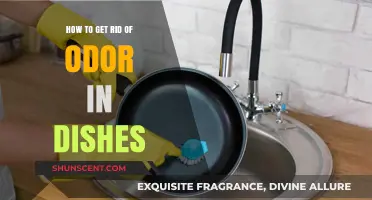 Freshen Up Your Kitchen: Effective Tips to Eliminate Dish Odors