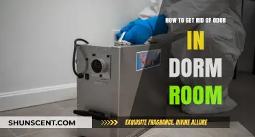 Freshen Up Your Dorm Room: A Guide to Odor Elimination