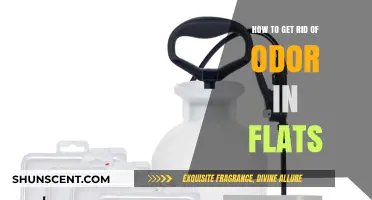 Freshen Up Your Flat: A Guide to Eliminating Unpleasant Odors