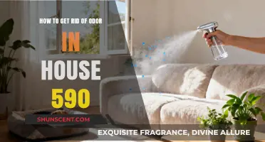 Freshen Up Your Home: Effective Ways to Eliminate Odors