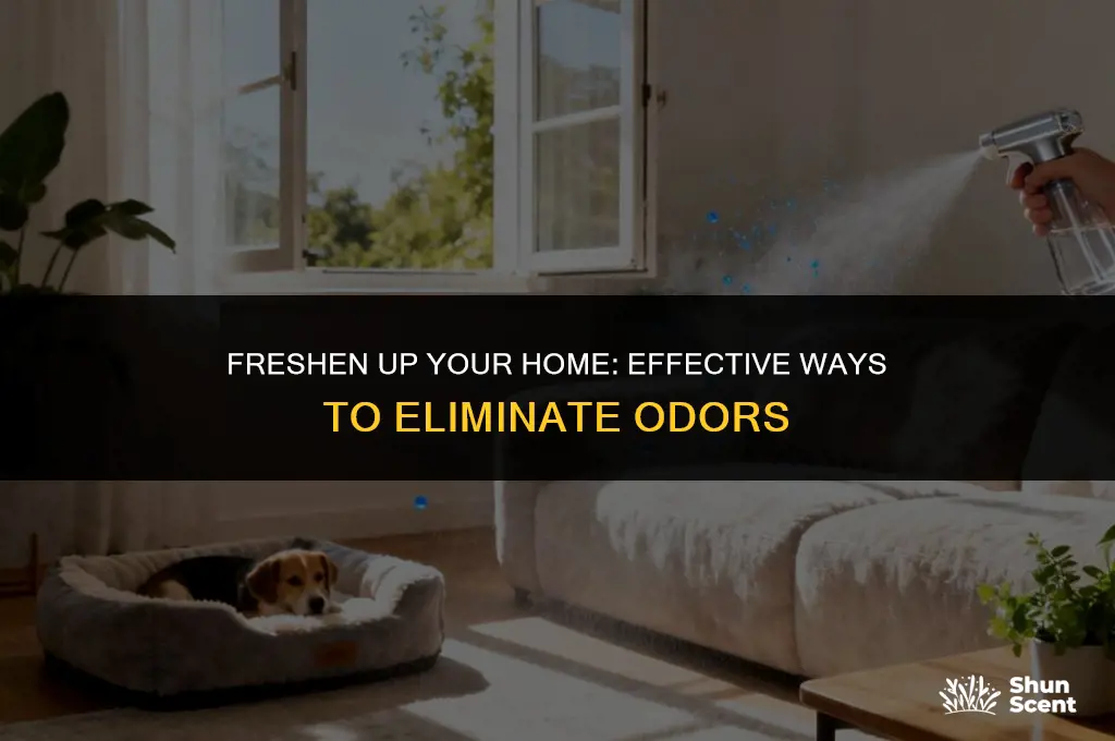 how to get rid of odor in house 590