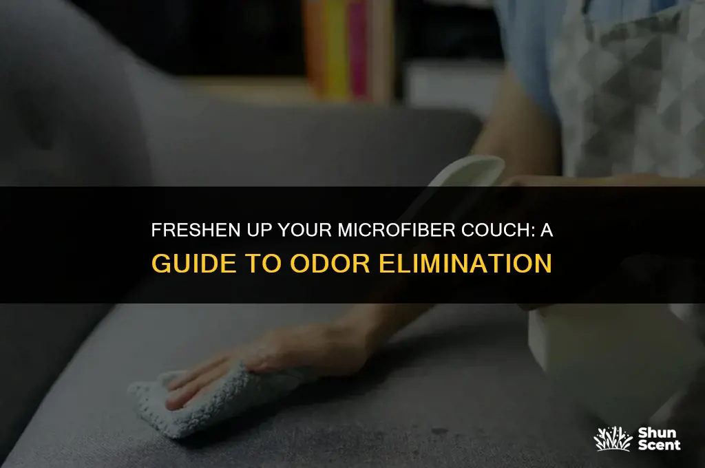how to get rid of odor in microfiber couch