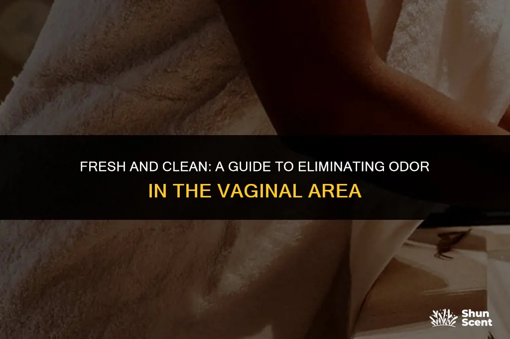 how to get rid of odor in my lady region