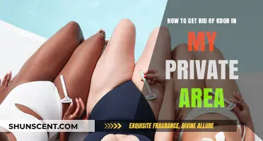 Fresh and Clean: A Guide to Eliminating Private Area Odor