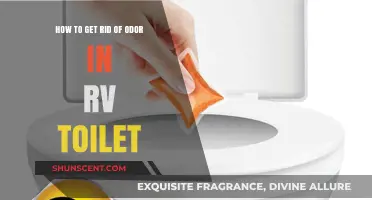 Freshen Up Your RV: A Guide to Odor-Free Toilet Maintenance