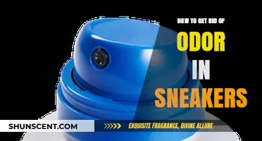 Freshen Up Your Kicks: A Guide to Odor-Free Sneakers