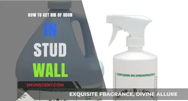 Eliminating Stubborn Odors: A Guide to Freshening Your Stud Walls