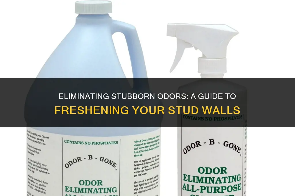 how to get rid of odor in stud wall