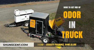 Freshen Up Your Ride: Eliminating Odors in Your Truck