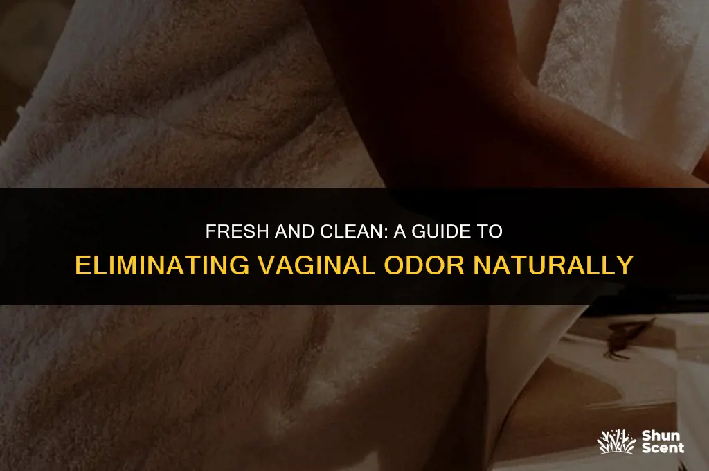 how to get rid of odor in vigina