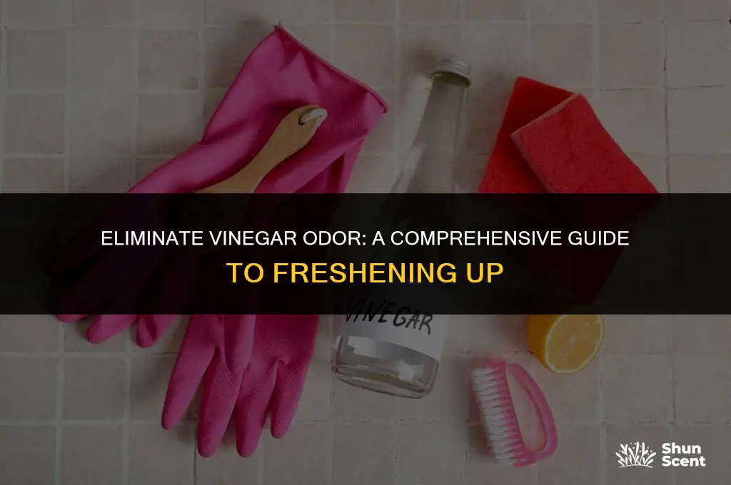 how to get rid of odor in your vinegar
